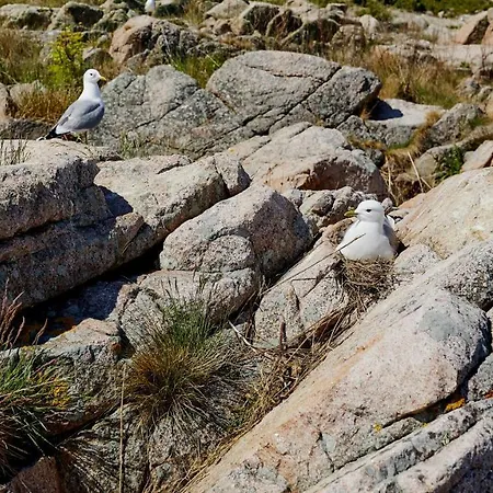 Nordlandet 4* Allinge-Sandvig