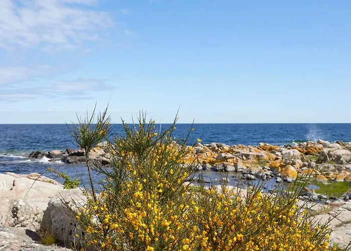 Nordlandet 4* Аллинге